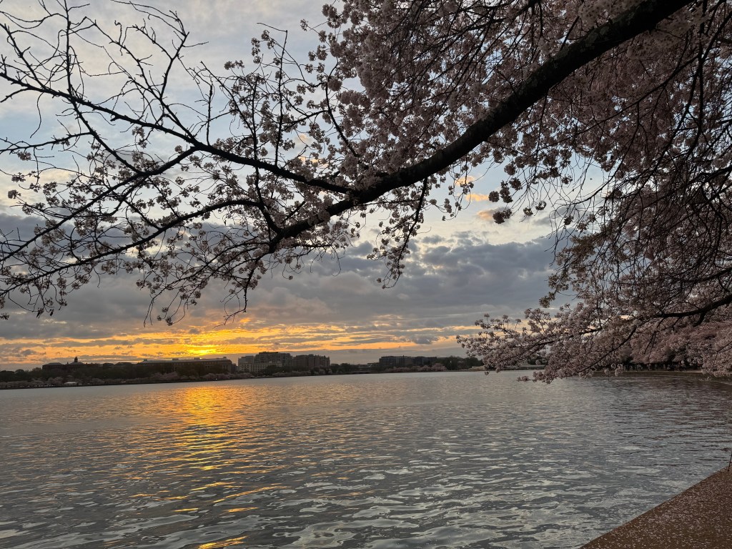 April Fools: The Audacity of Men Who Are Loud and Wrong 